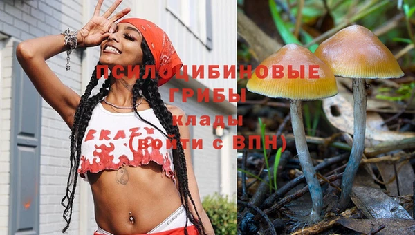 прущая мука Богданович