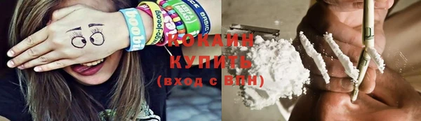 ПСИЛОЦИБИНОВЫЕ ГРИБЫ Бородино