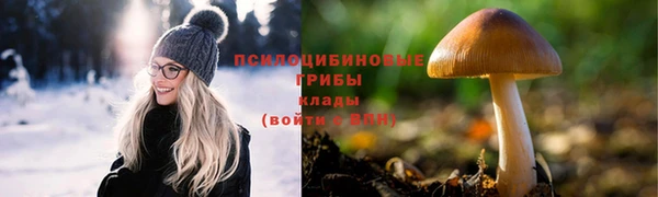 прущая мука Богданович