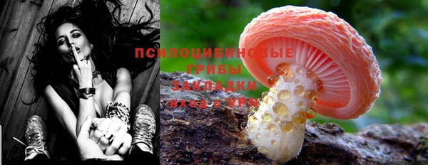прущая мука Богданович