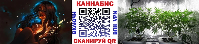 Бошки Шишки LSD WEED  даркнет сайт  Красавино 